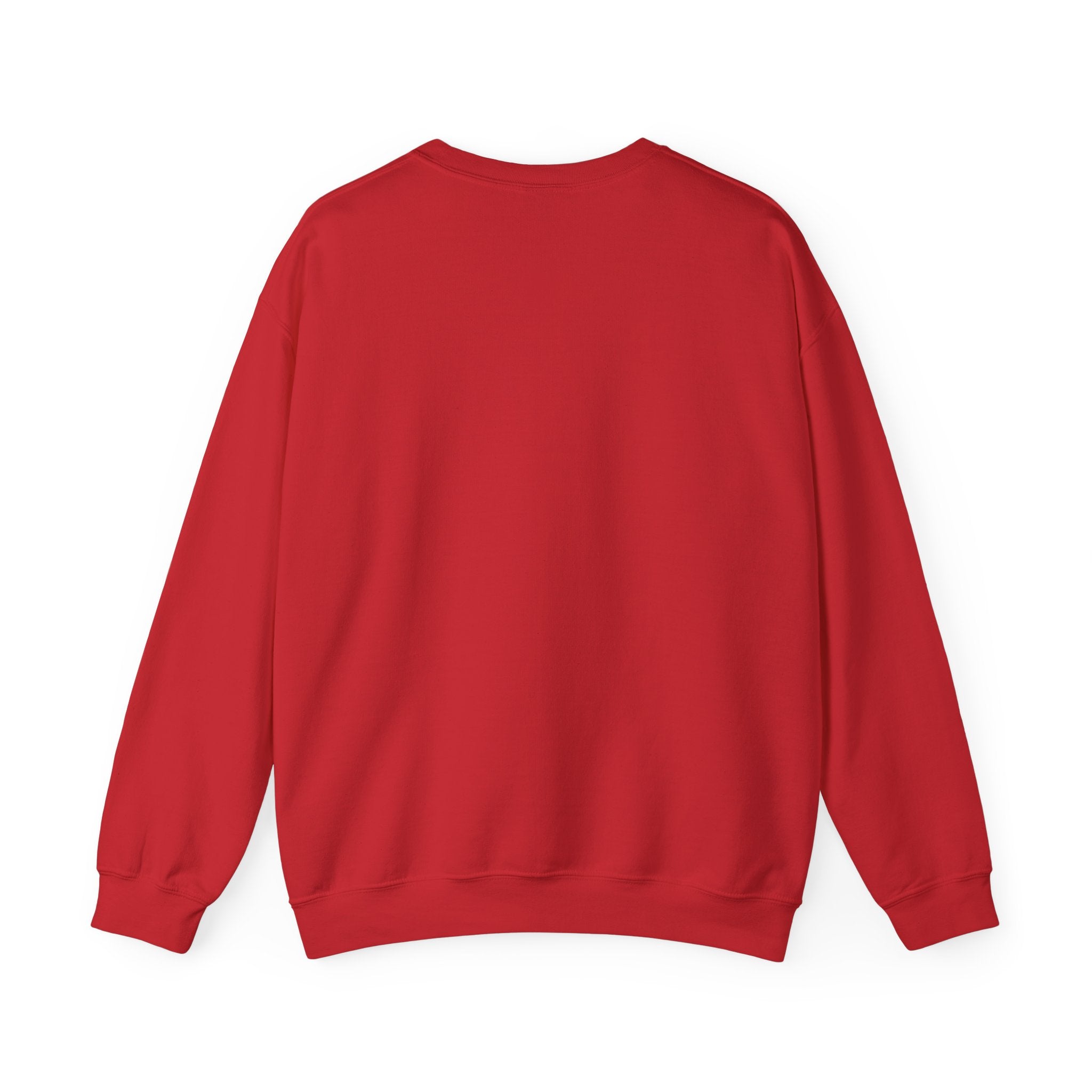 Briar University Hockey Sweatshirt Off Campus