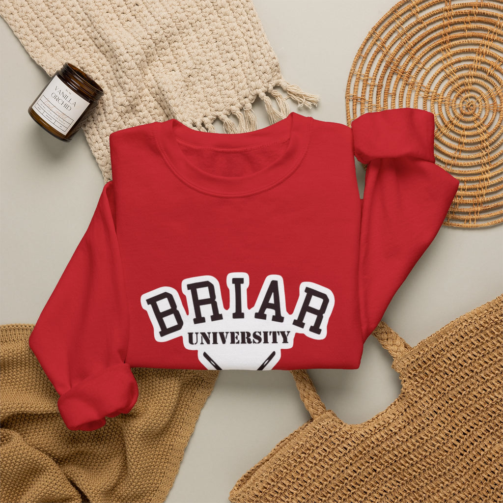 Briar University Hockey Sweatshirt Off Campus