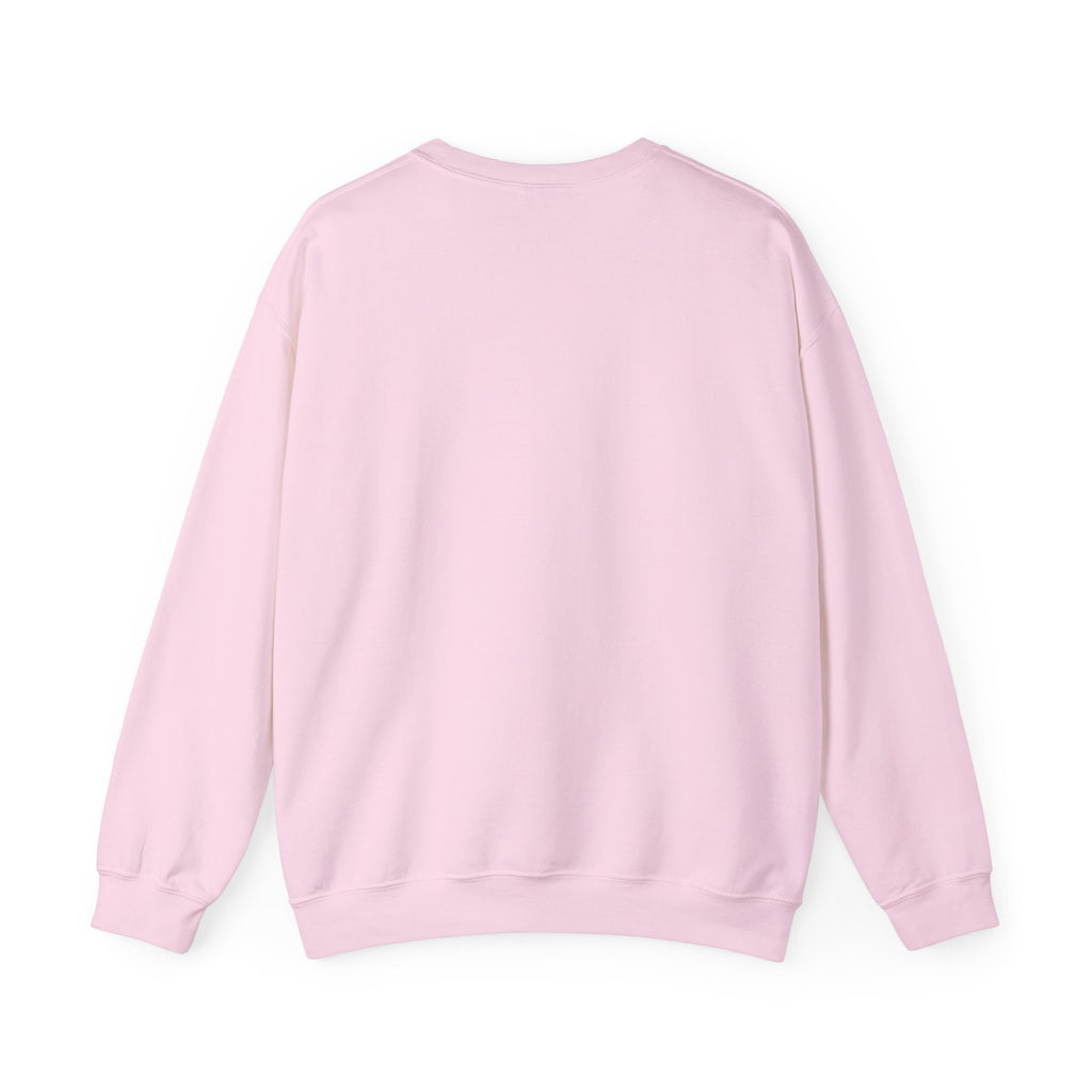 Briar University Hockey Sweatshirt Off Campus
