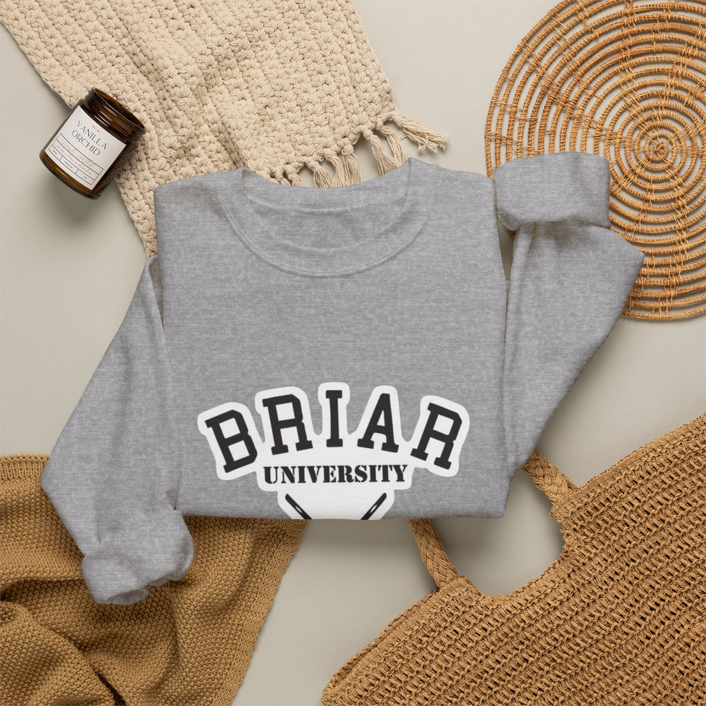 Briar University Hockey Sweatshirt Off Campus