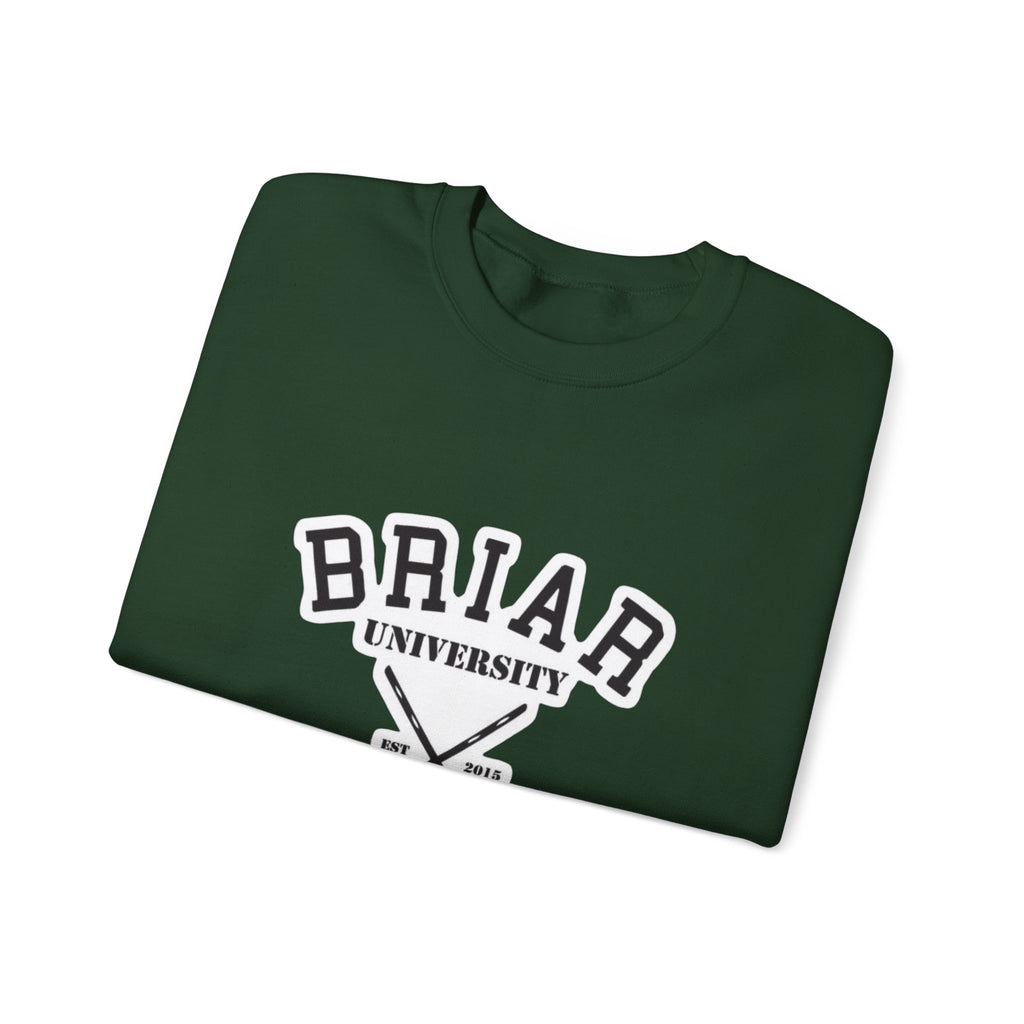 Briar University Hockey Sweatshirt Off Campus