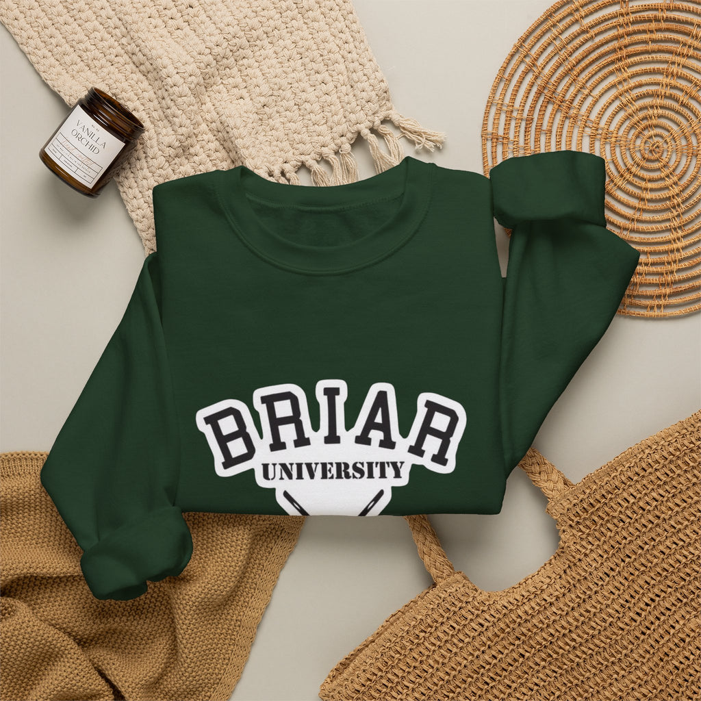 Briar University Hockey Sweatshirt Off Campus