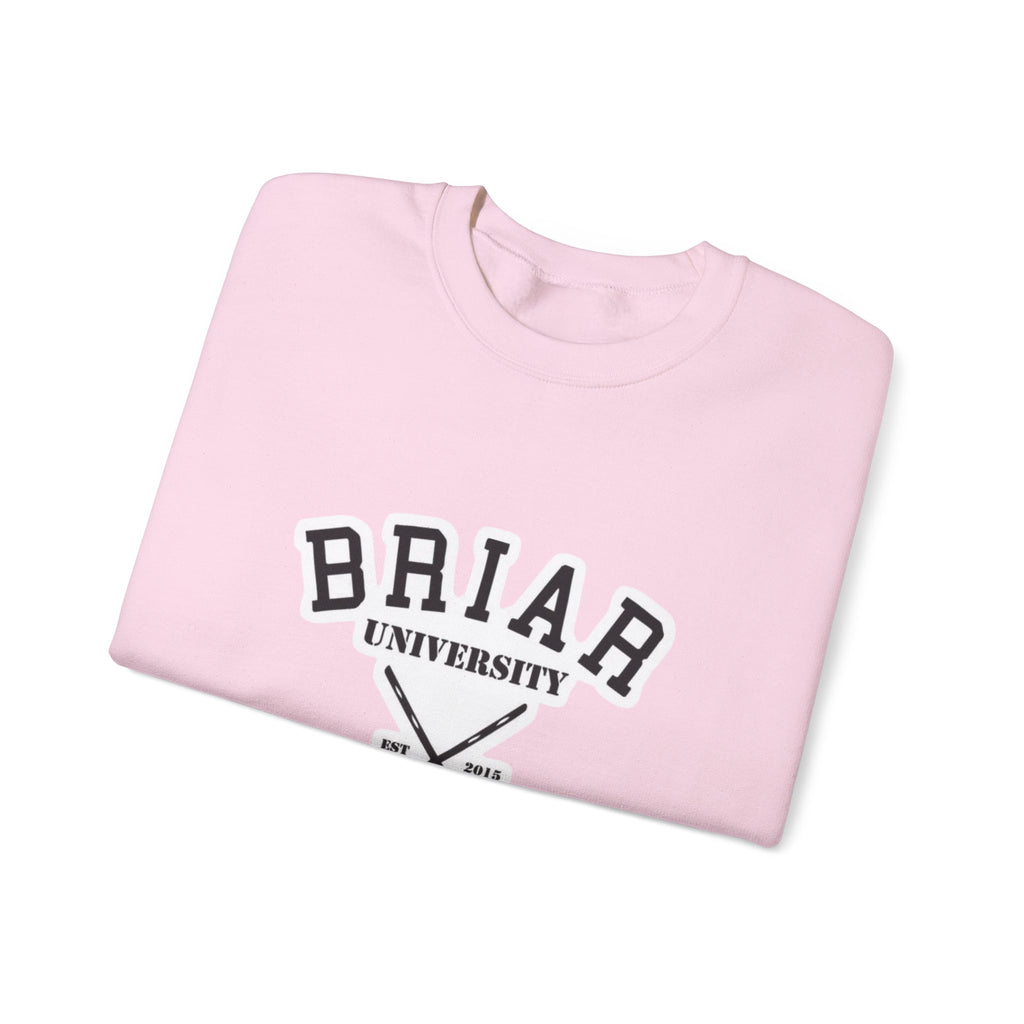 Briar University Hockey Sweatshirt Off Campus