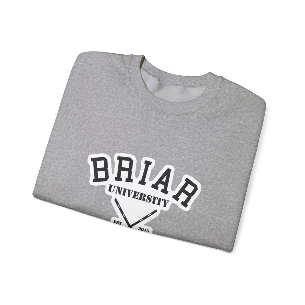 Briar University Hockey Sweatshirt Off Campus