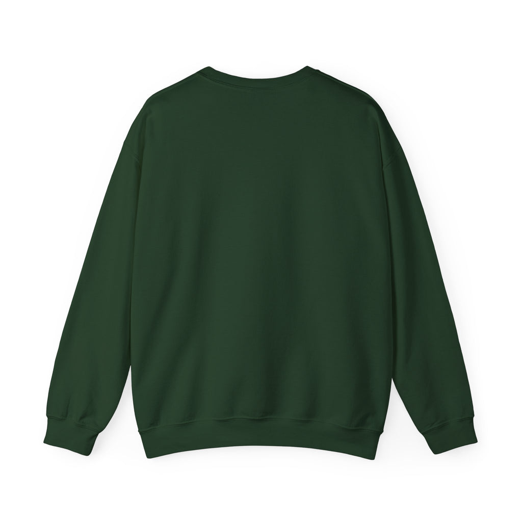 Briar University Hockey Sweatshirt Off Campus