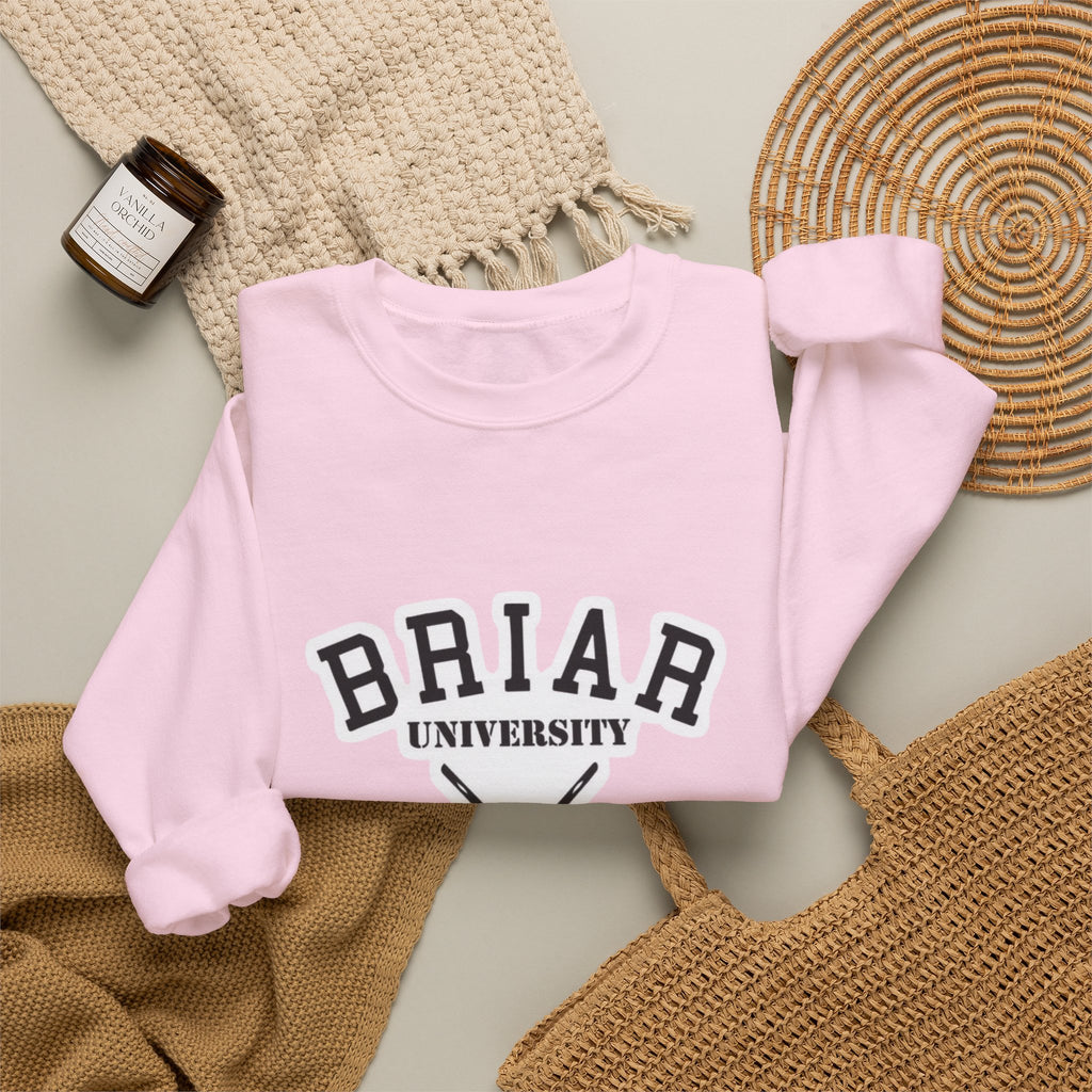 Briar University Hockey Sweatshirt Off Campus