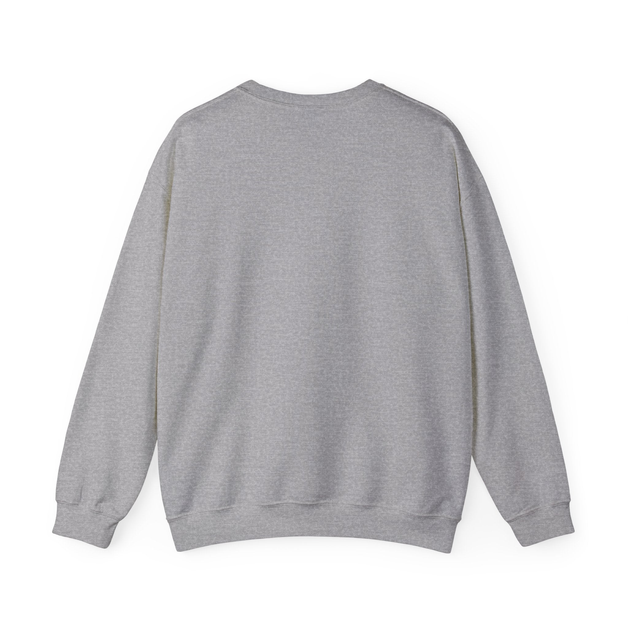 Briar University Hockey Sweatshirt Off Campus