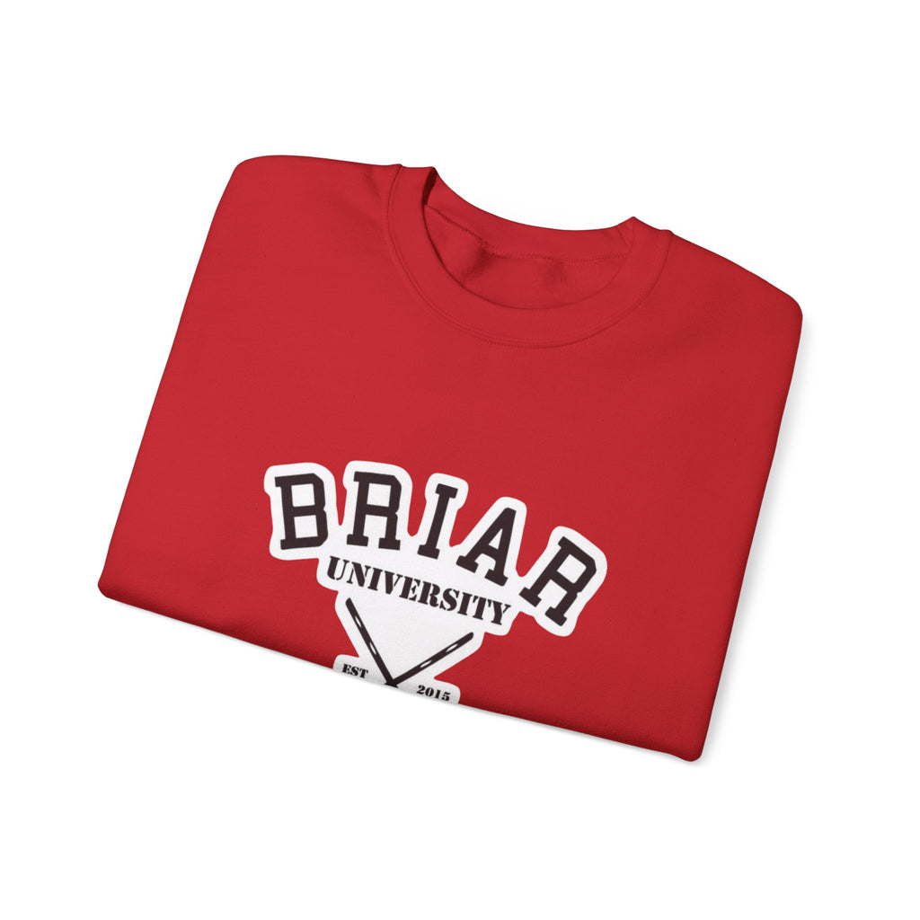 Briar University Hockey Sweatshirt Off Campus