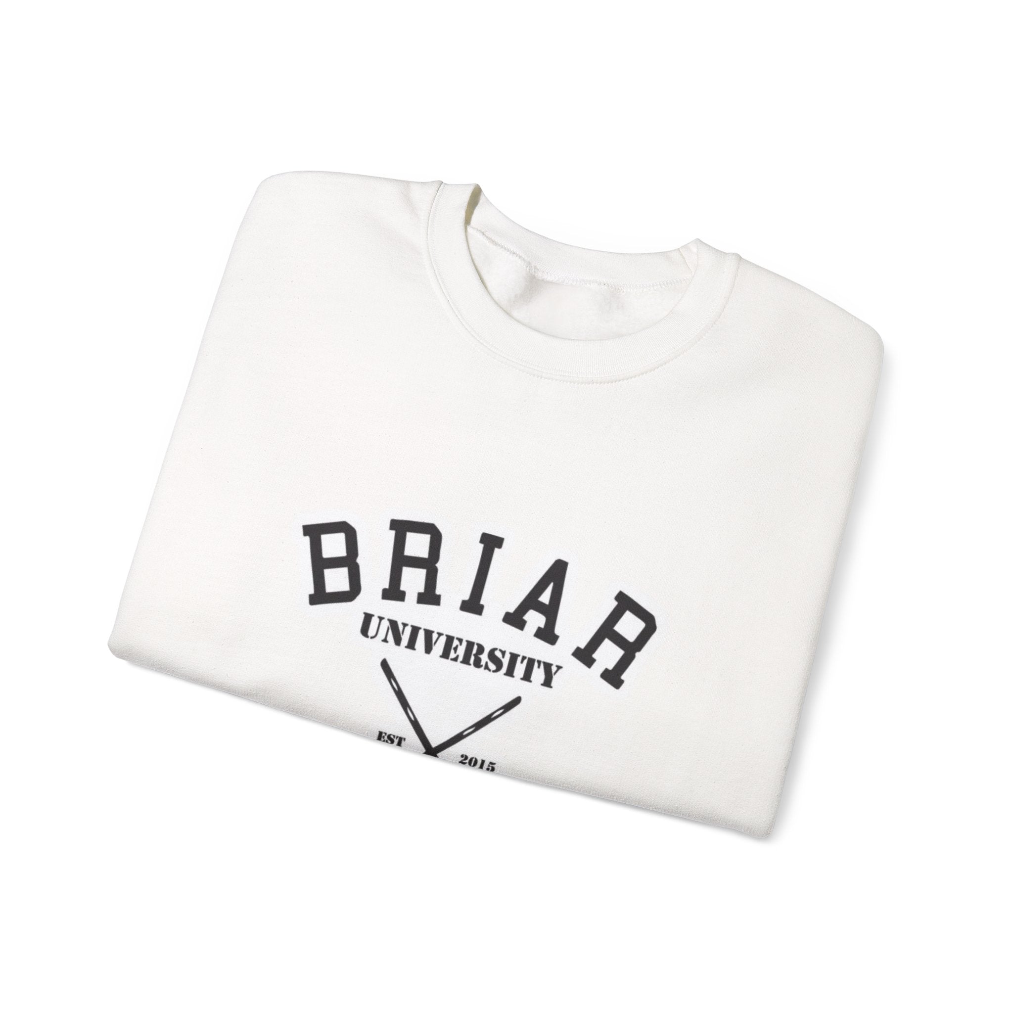 Briar University Hockey Sweatshirt Off Campus